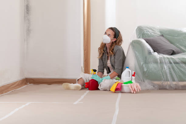 Reliable Mold Inspection contractor in Perry Hall, MD by WQB Mold Removal